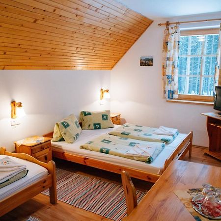 Penzion Sindlovec Oravice Extérieur photo